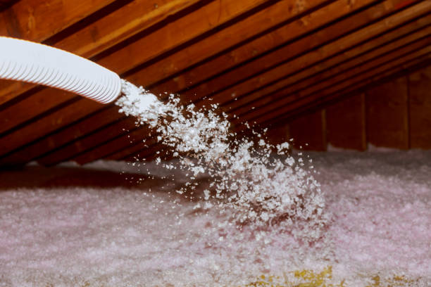 Best Residential Insulation in St Maries, ID